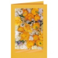 Gelbe Blüten