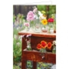 Grüße aus der Gartenidylle