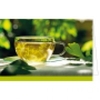 Kräutertee an lauem Sommermorgen
