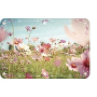 Postkarte Blumenwiese