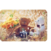Postkarte Teddybärenpicknick