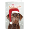 Weihnachtskarte Hund Weihnachtsmütze