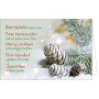 Weihnachtskarte Tannenzapfen