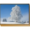 Weihnachtskartenbox Winterlandschaft 1