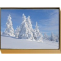 Weihnachtskartenbox Winterlandschaft 2