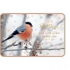 Weihnachtspostkarte Vogel