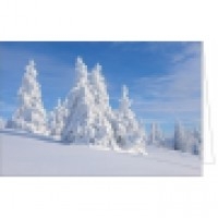 Winterliche Bäume