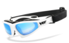 HSE® - SportEyes® FALCON-X gepolsterte Multifunktionsbrille,  Motorradbrille,  Motorrad-Sonnenbrille,  Bikerbrille,  winddicht