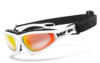 HSE® - SportEyes® FALCON-X gepolsterte Multifunktionsbrille,  Motorradbrille,  Motorrad-Sonnenbrille,  Bikerbrille,  winddicht