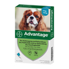 Advantage 100 Hund