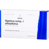 Agaricus Comp./Phosphorus Ampullen