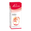 Ambra Similiaplex