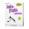 Andrographis Kapseln - None