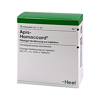 Apis Homaccord Ampullen
