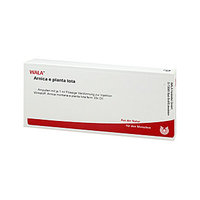 ARNICA E PLANTA TOTA D10