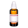 Arnica Extern - None