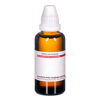 Arnica Extern - None