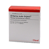 Arteria Suis Inj Org