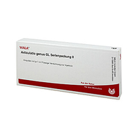 Articulatio Genus GL Serienpackung 2