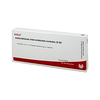 Articulationes Intervertebral. Lumb. Gl D 6 Ampullen