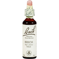 Bachblüte Beech