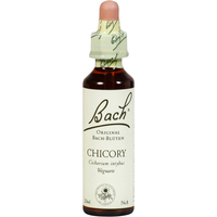 Bachblüte Chicory