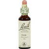Bachblüte Elm