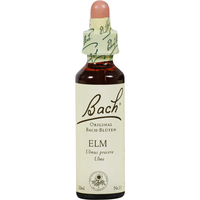 Bachblüte Elm