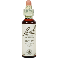 Bachblüte Holly