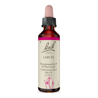 Bachblüte Larch - None