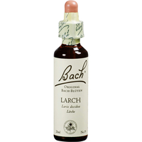 Bachblüte Larch
