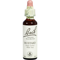 Bachblüte Mustard