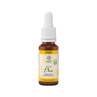 Bachblüte No. 24 Pine Bio