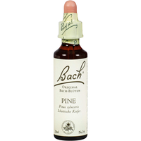 Bachblüte Pine