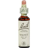 Bachblüte Walnut