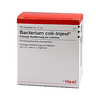 Bacterium Coli Inj Nos