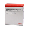 Bacterium Coli Inj Nos