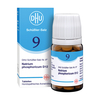 Biochemie 9 Natr Phos D12 - None
