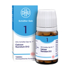 Biochemie Dhu 1 Calcium Fluoratum D 12 Tabletten - None