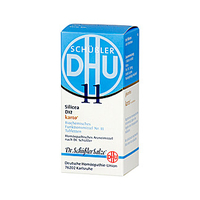 Biochemie DHU 11 Silicea D 12 Tabletten Karto