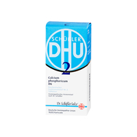 BIOCHEMIE DHU 2 Calcium phosphor.D 6 Tabletten