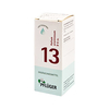 Biochemie Pflüger 13 Kalium Arsenicosum D 6 Tropf.