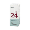 Biochemie Pflüger 24 Arsenum Jodatum D 6 Tabletten