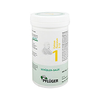 Biochemie Pflueger 1 Calcium fluor. D 12 Tabletten