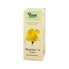 Biodolor H Tropfen