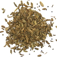 Bitterer Fenchel Foeniculi amari fructus