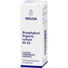 Bryophyllum Argento Cultum RH D3
