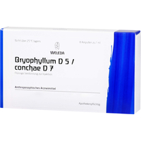 Bryophyllum D5/Conchae D7 aa