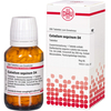 Caladium Seguin D 4 Tabletten