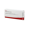 CALCIUM QUERCUS INJECT 10